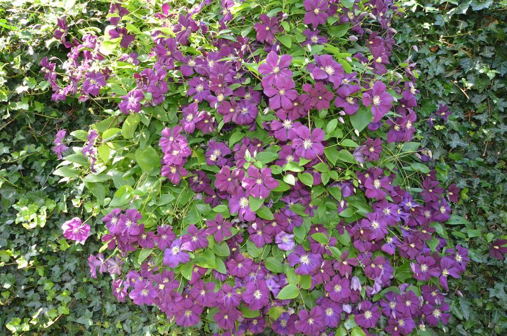 Bloemenhoeve Birdaard Exterior photo